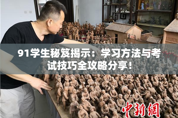 91学生秘笈揭示：学习方法与考试技巧全攻略分享！