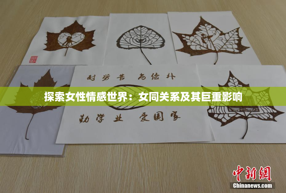 探索女性情感世界：女同关系及其巨重影响