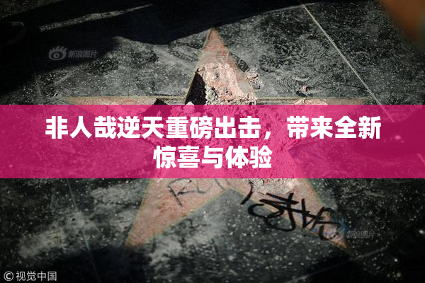 非人哉逆天重磅出击，带来全新惊喜与体验