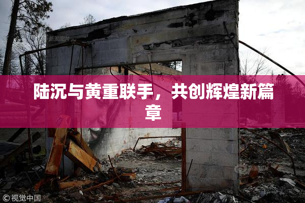 陆沉与黄重联手，共创辉煌新篇章
