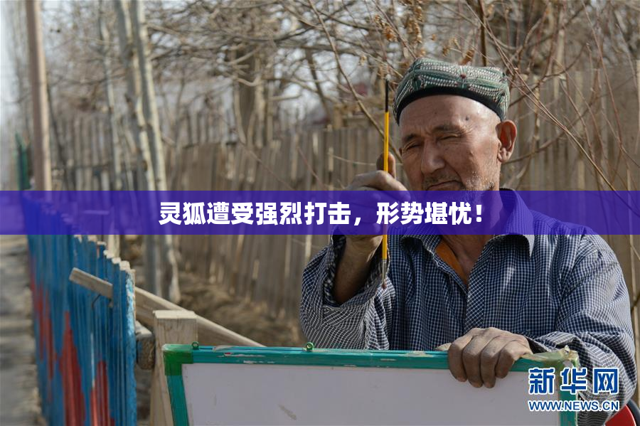 灵狐遭受强烈打击，形势堪忧！