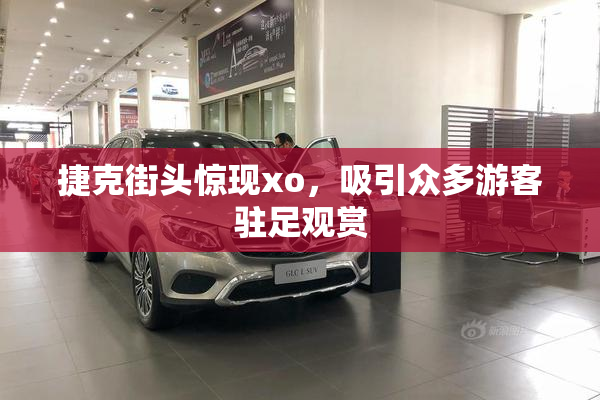 捷克街头惊现xo，吸引众多游客驻足观赏