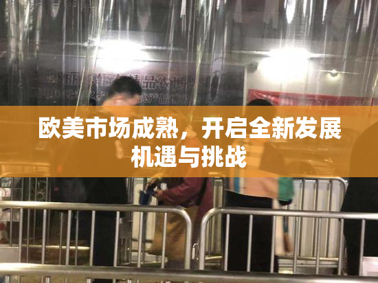 欧美市场成熟，开启全新发展机遇与挑战