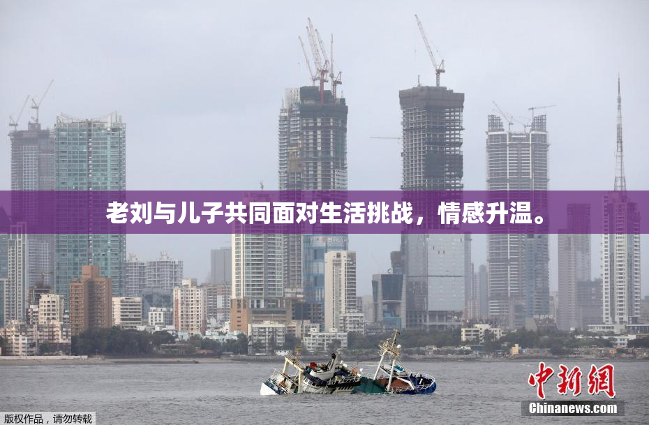 老刘与儿子共同面对生活挑战，情感升温。