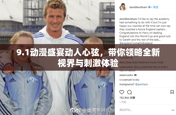 9.1动漫盛宴动人心弦，带你领略全新视界与刺激体验