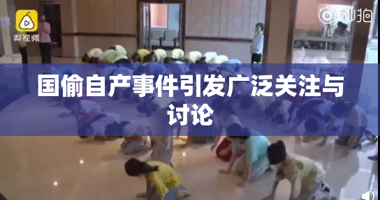 国偷自产事件引发广泛关注与讨论