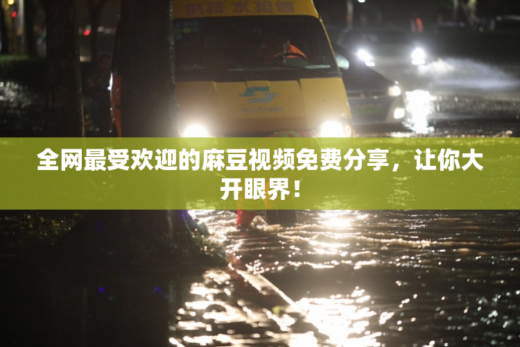 全网最受欢迎的麻豆视频免费分享，让你大开眼界！
