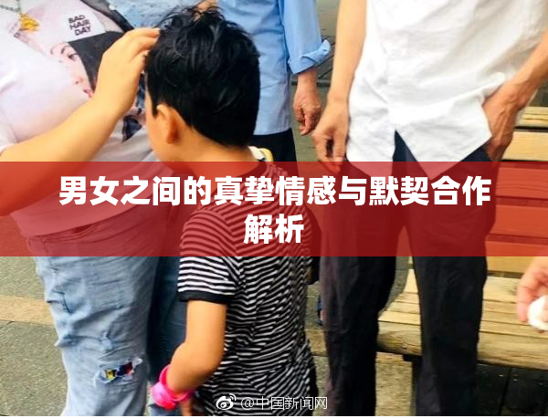 男女之间的真挚情感与默契合作解析