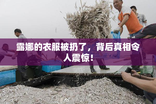 露娜的衣服被扔了，背后真相令人震惊！