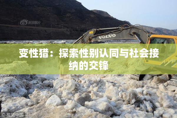 变性猎：探索性别认同与社会接纳的交锋