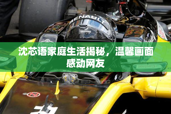 沈芯语家庭生活揭秘，温馨画面感动网友