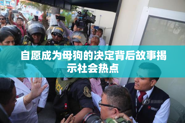 自愿成为母狗的决定背后故事揭示社会热点