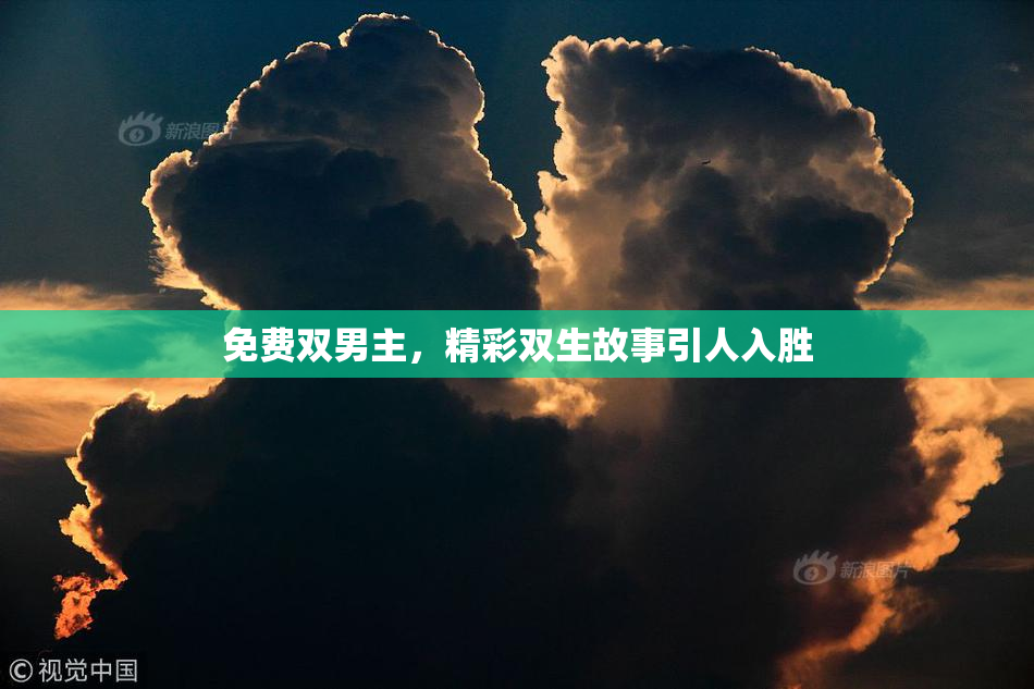 免费双男主，精彩双生故事引人入胜