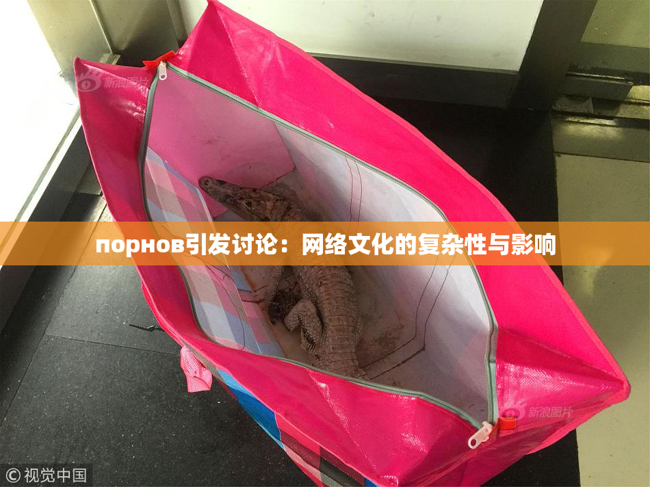 порнов引发讨论：网络文化的复杂性与影响