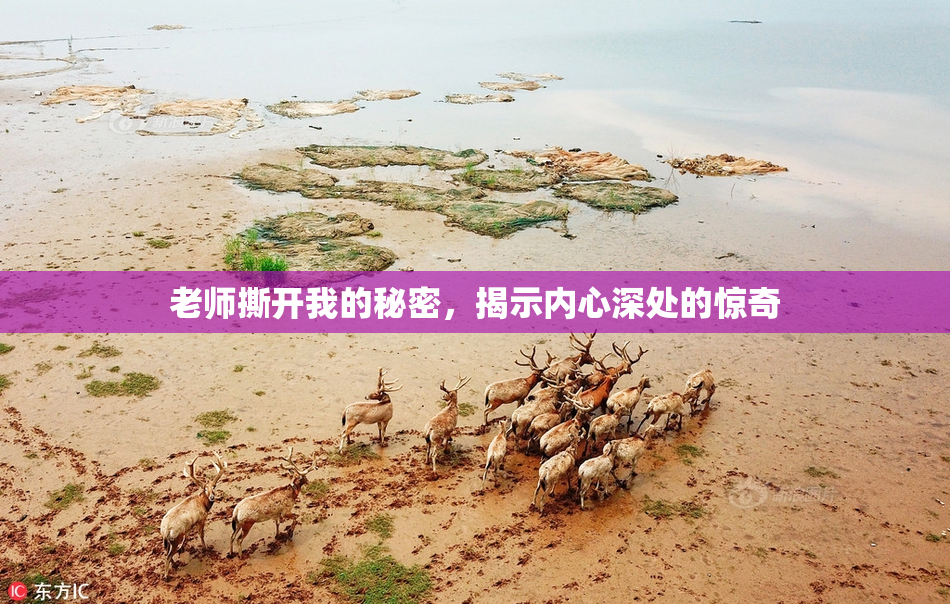 老师撕开我的秘密，揭示内心深处的惊奇