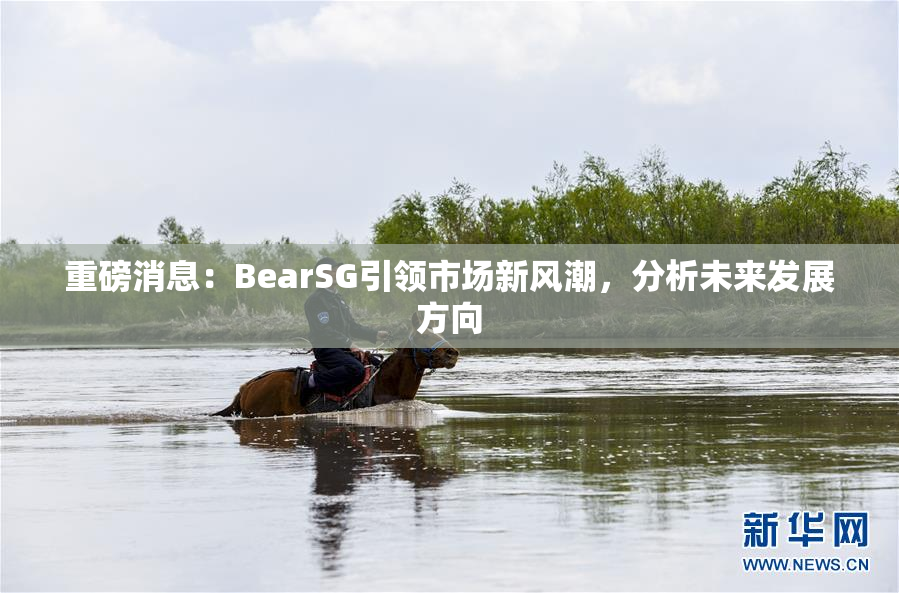 重磅消息：BearSG引领市场新风潮，分析未来发展方向