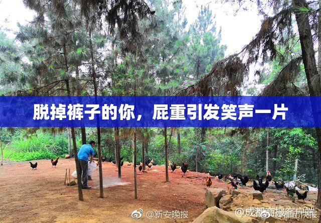 脱掉裤子的你，屁重引发笑声一片