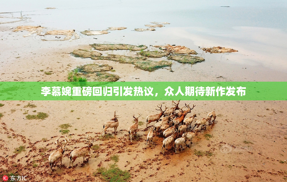 李慕婉重磅回归引发热议，众人期待新作发布