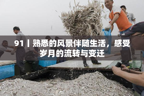 91丨熟悉的风景伴随生活，感受岁月的流转与变迁