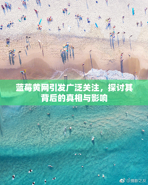 蓝莓黄网引发广泛关注，探讨其背后的真相与影响