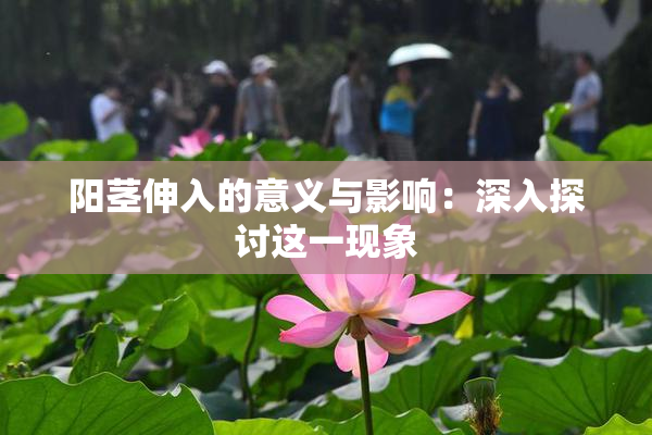 阳茎伸入的意义与影响：深入探讨这一现象