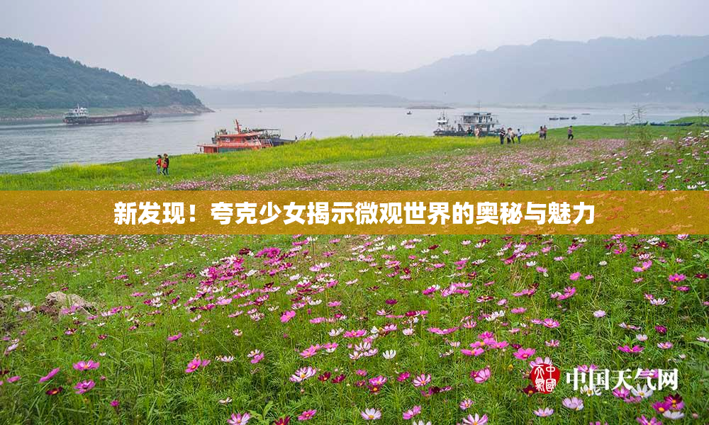 新发现！夸克少女揭示微观世界的奥秘与魅力