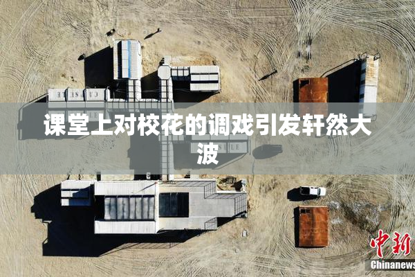 课堂上对校花的调戏引发轩然大波