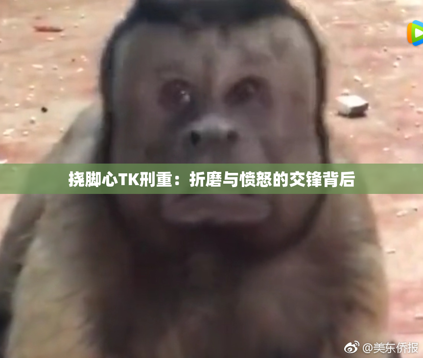 挠脚心TK刑重：折磨与愤怒的交锋背后