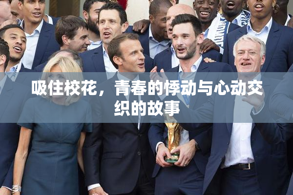 吸住校花，青春的悸动与心动交织的故事