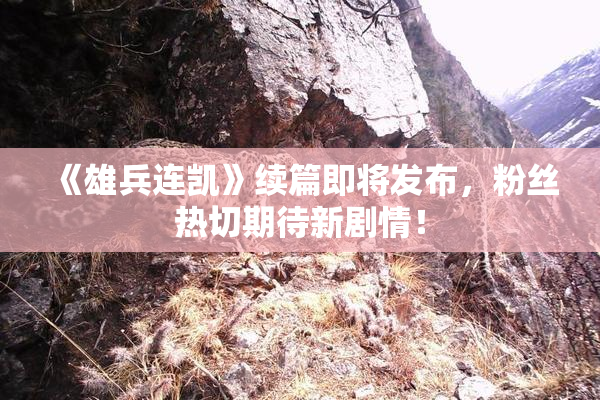 《雄兵连凯》续篇即将发布，粉丝热切期待新剧情！