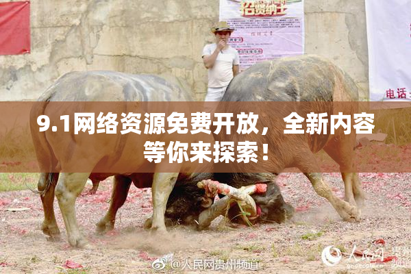 9.1网络资源免费开放，全新内容等你来探索！