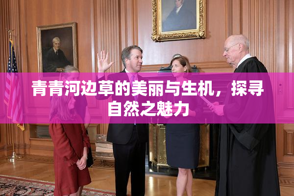 青青河边草的美丽与生机，探寻自然之魅力