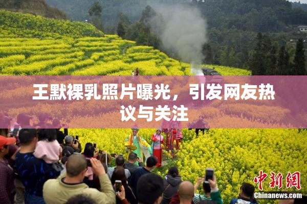 王默裸乳照片曝光，引发网友热议与关注