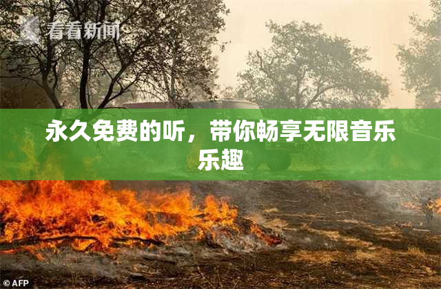 永久免费的听，带你畅享无限音乐乐趣