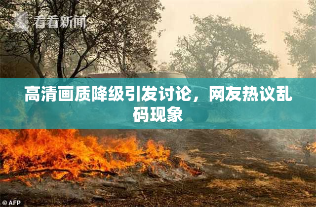 高清画质降级引发讨论，网友热议乱码现象