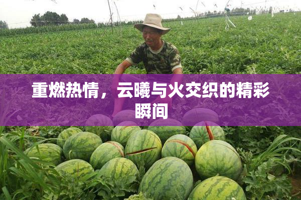 重燃热情，云曦与火交织的精彩瞬间