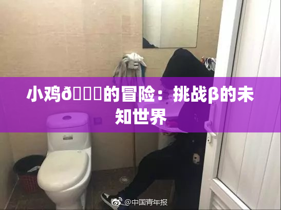 小鸡🐔的冒险：挑战β的未知世界