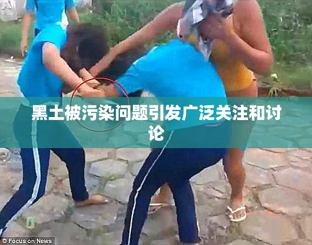 黑土被污染问题引发广泛关注和讨论
