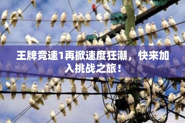 王牌竞速1再掀速度狂潮，快来加入挑战之旅！