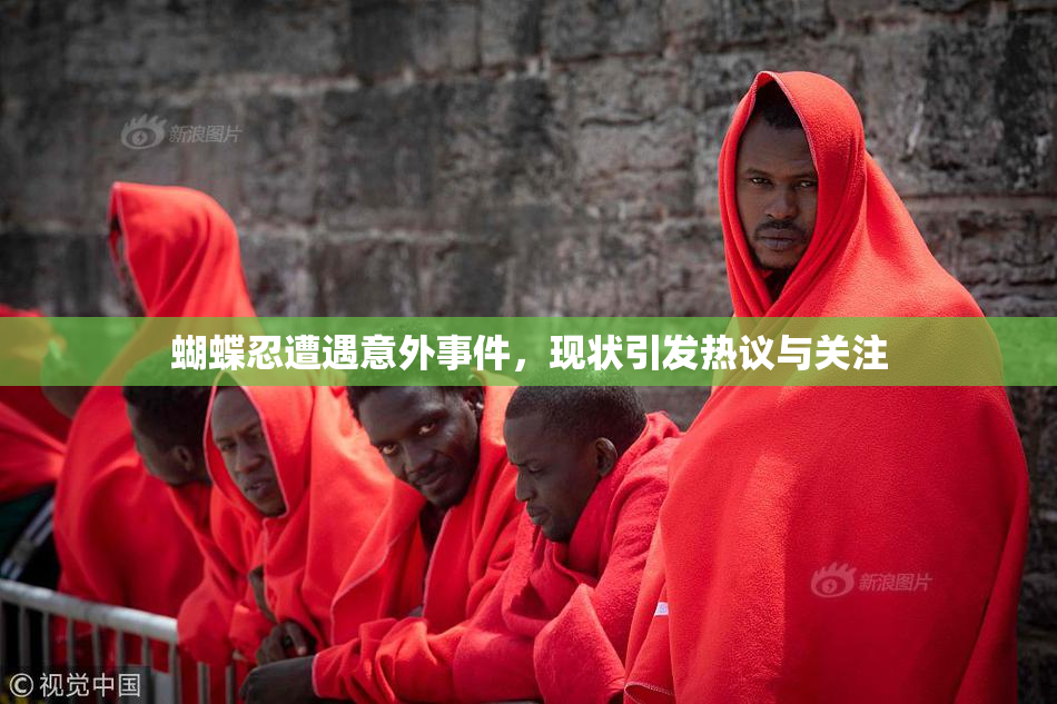 蝴蝶忍遭遇意外事件，现状引发热议与关注