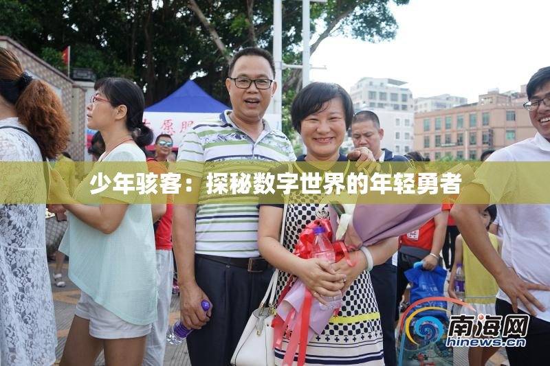 少年骇客：探秘数字世界的年轻勇者