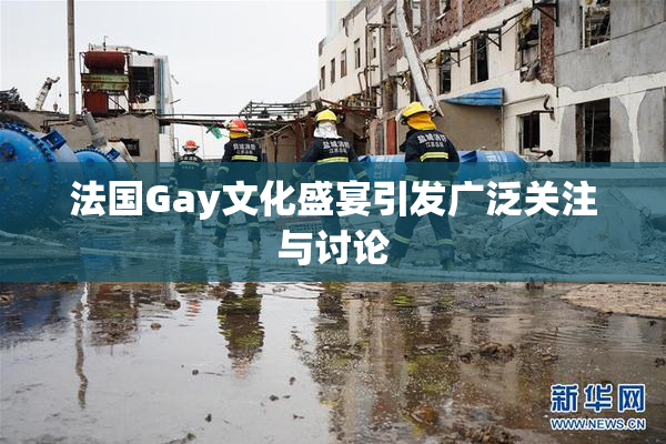 法国Gay文化盛宴引发广泛关注与讨论