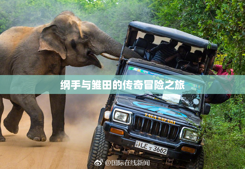 纲手与雏田的传奇冒险之旅