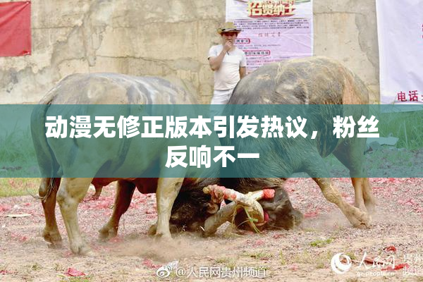 动漫无修正版本引发热议，粉丝反响不一