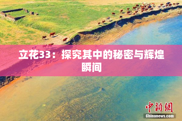 立花33：探究其中的秘密与辉煌瞬间