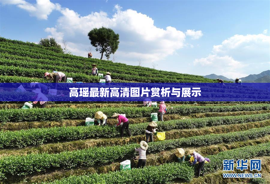 高瑶最新高清图片赏析与展示