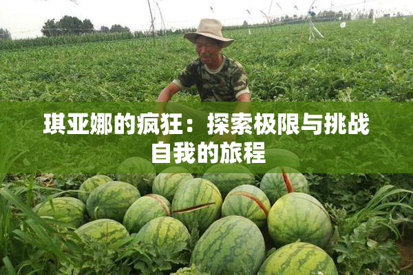 琪亚娜的疯狂：探索极限与挑战自我的旅程