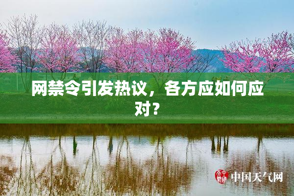 网禁令引发热议，各方应如何应对？