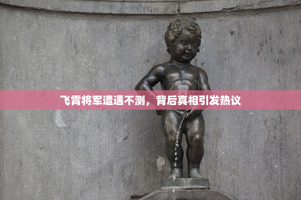 飞霄将军遭遇不测，背后真相引发热议