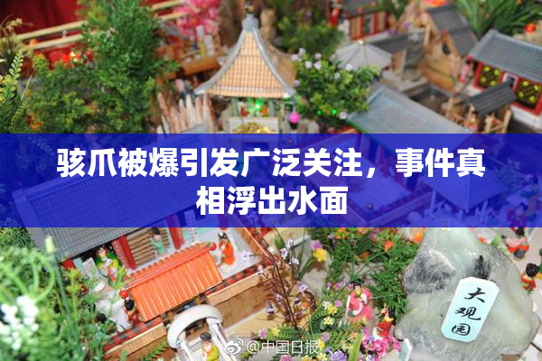 骇爪被爆引发广泛关注，事件真相浮出水面